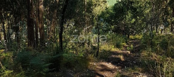 13600m² Land in Vila Nova de Famalicao, Portugal No. 33914 2