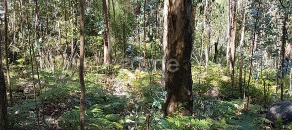 13600m² Land in Vila Nova de Famalicao, Portugal No. 33914 5