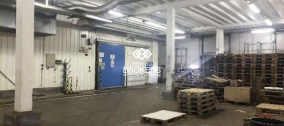  عقار تجاري في Montreuil-Bellay, France 6349متر مربع رقم 311424 3