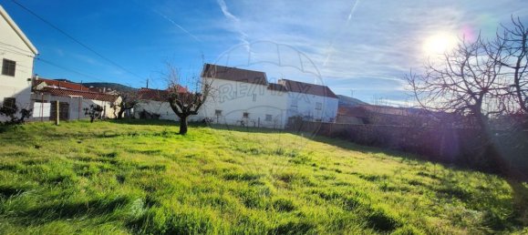 3 bedrooms House in Benquerenca, Portugal No. 164670 8