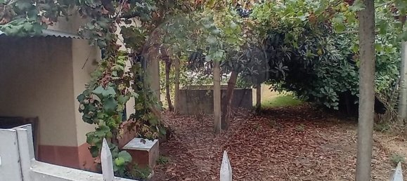 3 bedrooms House in Benquerenca, Portugal No. 164670 17