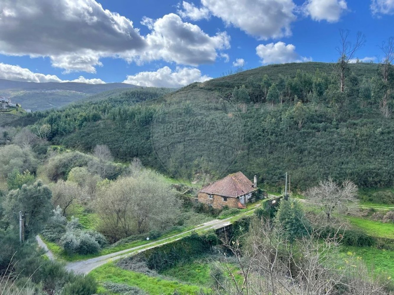 Studio in Arganil, Portugal No. 88602