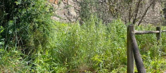 Studio in Arganil, Portugal No. 88602 25