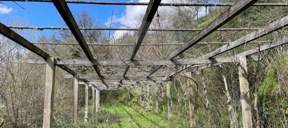 Studio in Arganil, Portugal No. 88602 26