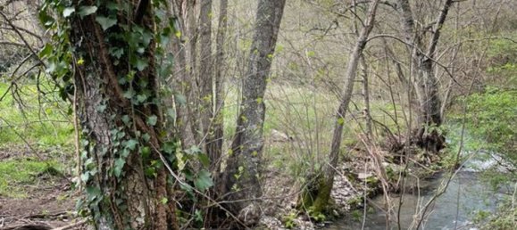 Studio in Arganil, Portugal No. 88602 24