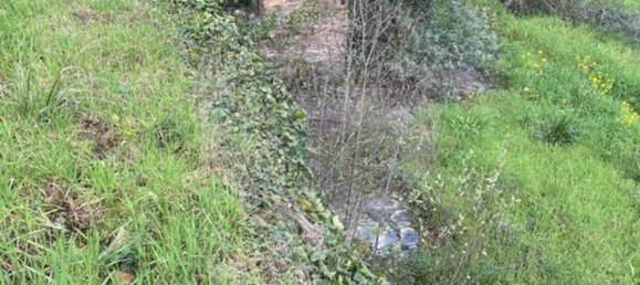 Studio in Arganil, Portugal No. 88602 30