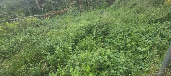  قطعة أرض في Churriana, Spain رقم 148269 4