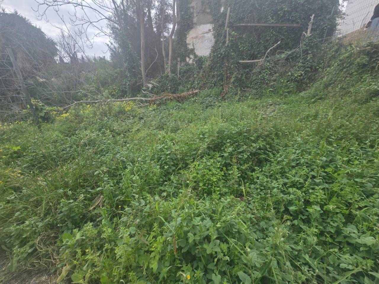  قطعة أرض في Churriana, Spain رقم 148269