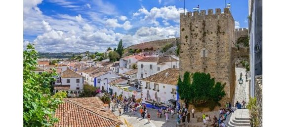 4123m² Land in Caldas da Rainha, Portugal No. 140469 20