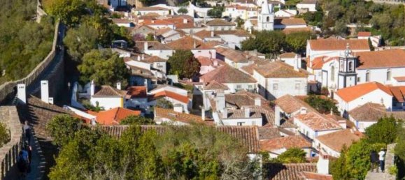 4123m² Land in Caldas da Rainha, Portugal No. 140469 22