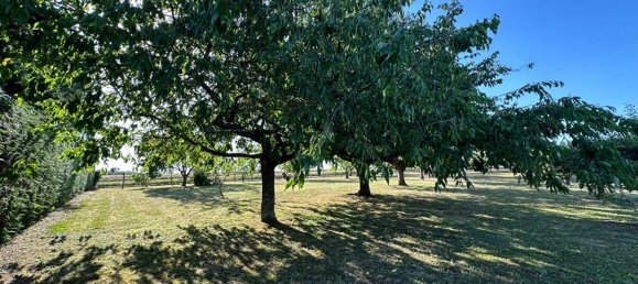 3 chambres Maison à Lunay, France No. 153845 3