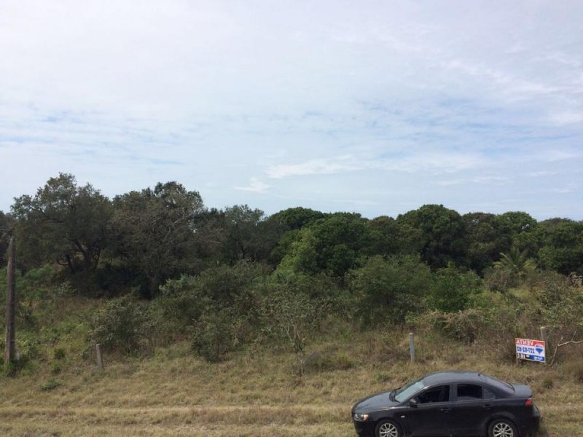 Terrain à Veracruz, Mexico No. 203273