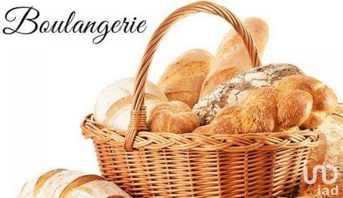 Fabrik in Le Faou, France 150m², Nr. 18578