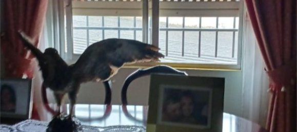 4 غرف نوم منزل في Sariegos, Spain رقم 164823 16