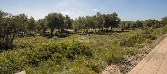 Grundstück in Es Mercadal, Spain 2040m², Nr. 1920 3