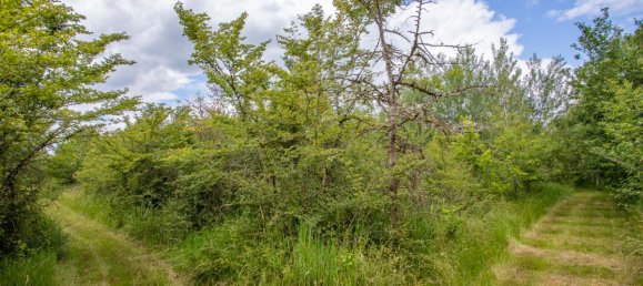 4 chambres Maison à Gièvres, France No. 59084 13