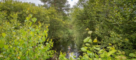 4 chambres Maison à Gièvres, France No. 59084 14
