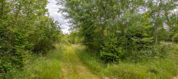 4 chambres Maison à Gièvres, France No. 59084 12