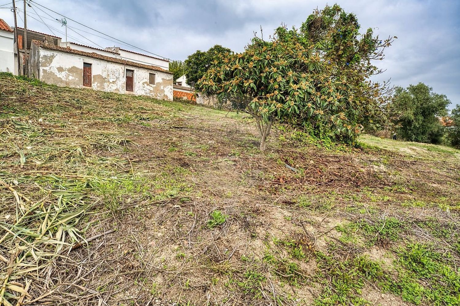 2 bedrooms House in Lisbon, Portugal No. 49851