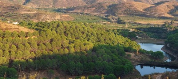 Casa T5 em Silves, Portugal N.º 96323 18