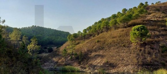 Casa T5 em Silves, Portugal N.º 96323 33