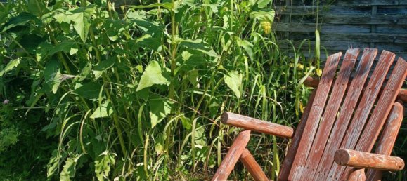 Terreno em Pankow, Germany N.º 288991 9