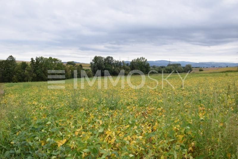 Grundstück in Linz, Austria, Nr. 205865