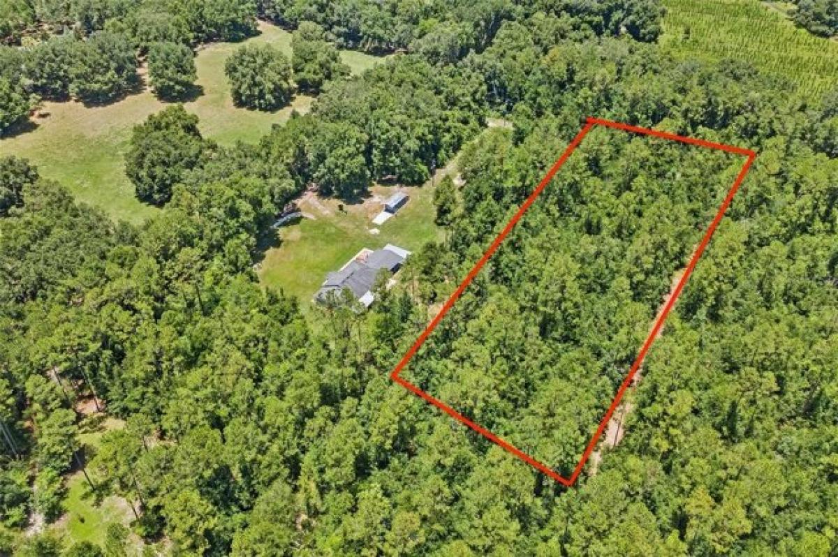 Grundstück in Newberry, USA, Nr. 480937