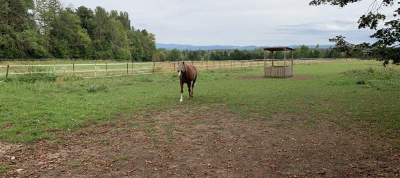 Квартира с 3 комнатами в Виллендорф, Австрия № 132667 18