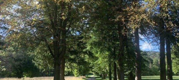 Квартира с 3 комнатами в Виллендорф, Австрия № 132667 20