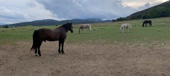 Квартира с 3 комнатами в Виллендорф, Австрия № 132667 19