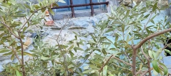 4 rooms House in La Spezia, Italy No. 66556 18