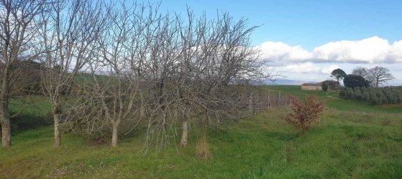 4 bedrooms House in Orvieto, Italy No. 309829 10