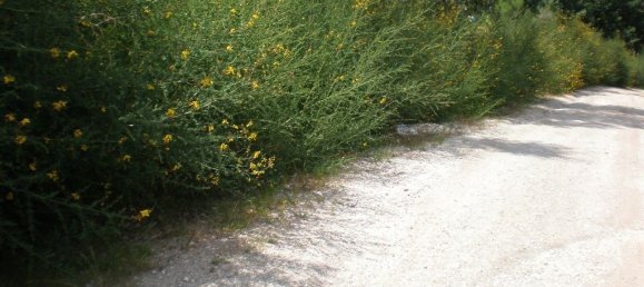 2500m² Land in Infias, Portugal No. 35011 4