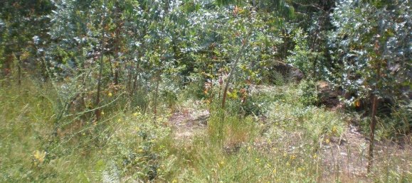 2500m² Land in Infias, Portugal No. 35011 2