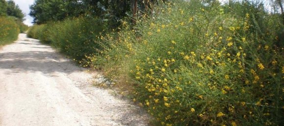 2500m² Land in Infias, Portugal No. 35011 3