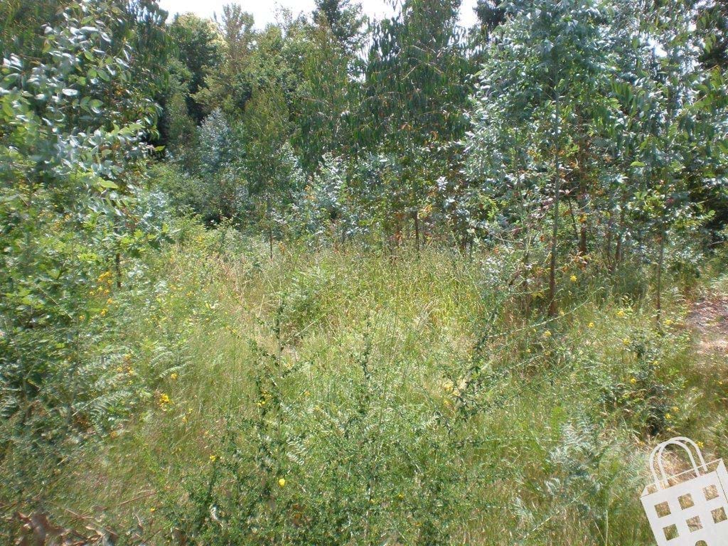 2500m² Land in Infias, Portugal No. 35011