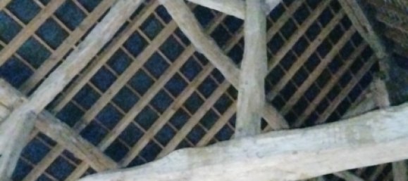 Дом с 2 спальнями в Гренвиль-ан-Бос, Франция № 159483 11