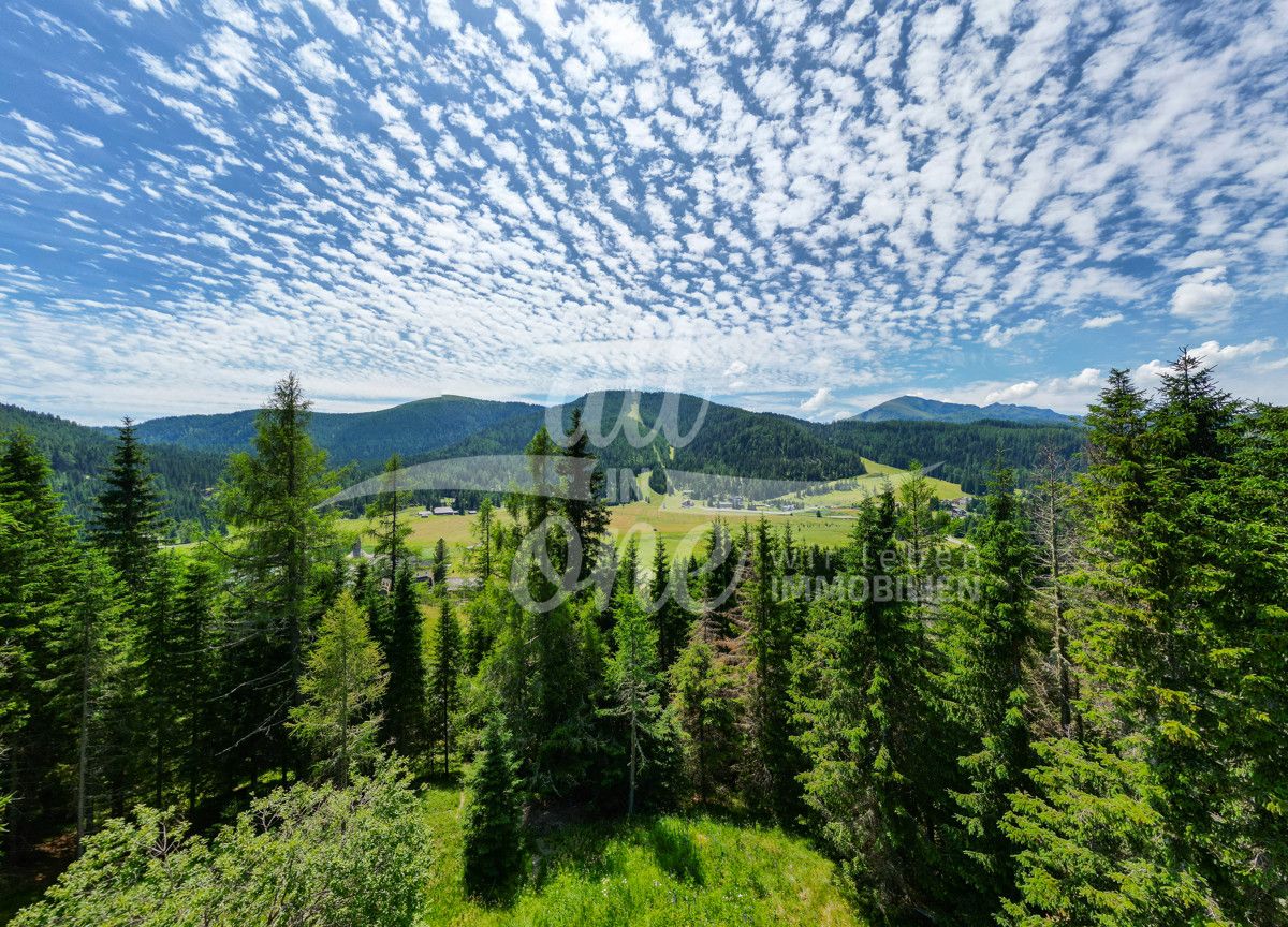 Terrain à Glodnitz, Austria No. 128503