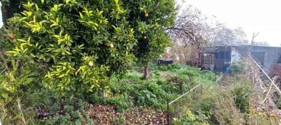 3 غرف نوم منزل في Tomar, Portugal رقم 14520 31