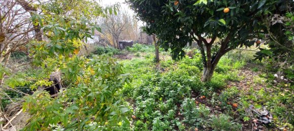 3 غرف نوم منزل في Tomar, Portugal رقم 14520 30