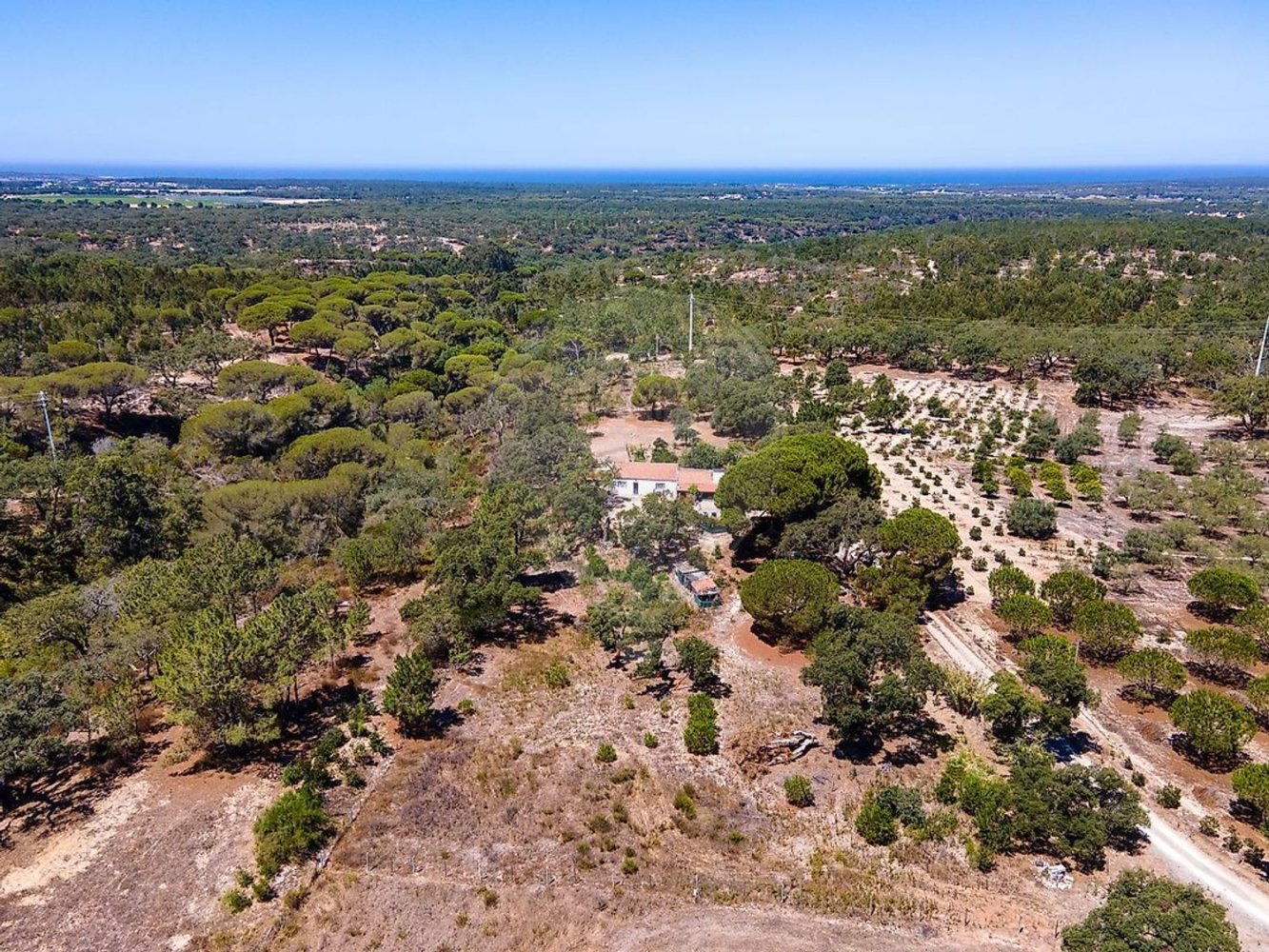  Land in Grandola, Portugal No. 321809