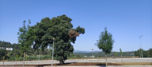 Grundstück in Viseu, Portugal, Nr. 190385 3