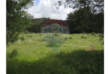 62280m² Land in Silves, Portugal No. 38545