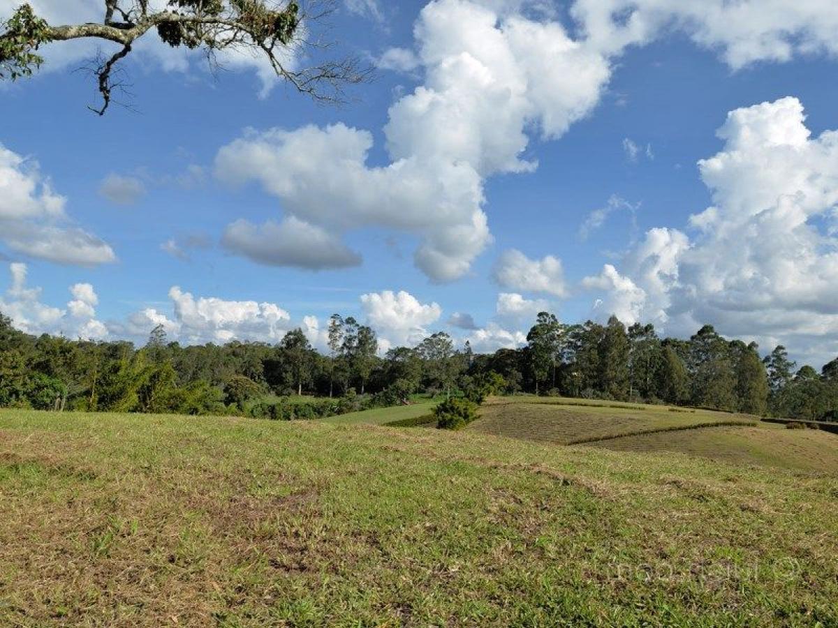  قطعة أرض في Antioquia, Colombia رقم 769