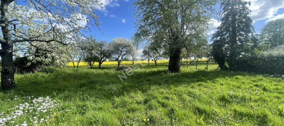 3 bedrooms House in Vicq-sur-Nahon, France No. 75669 12