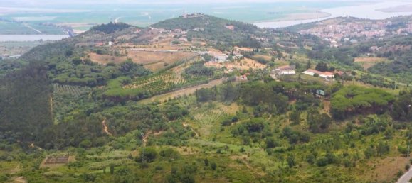 10 bedrooms House in Vila Franca de Xira, Portugal No. 81369 4