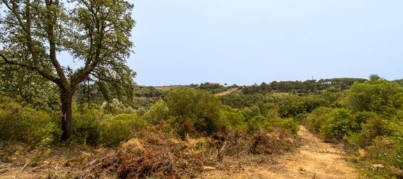 10 bedrooms House in Vila Franca de Xira, Portugal No. 81369 40