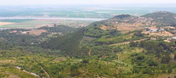 10 bedrooms House in Vila Franca de Xira, Portugal No. 81369 31