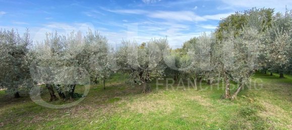 3 rooms House in Assisi, Italy No. 50280 4